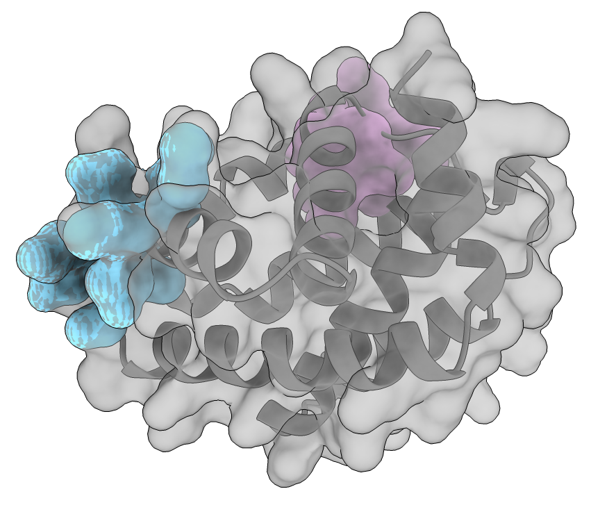 Broteina analysis figure summarizing score alignment and few-step protein generation